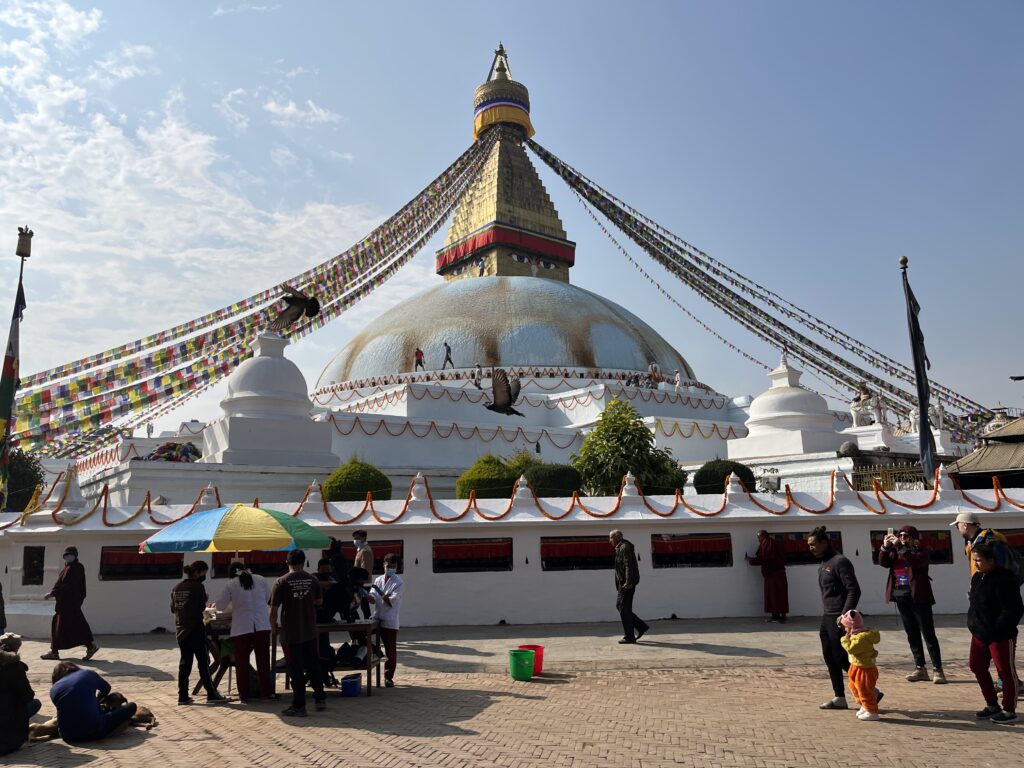 Pema Treks and Expedition Travel Company