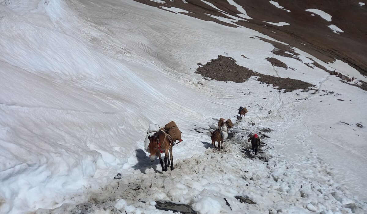 Lower Dolpo Circuit trek