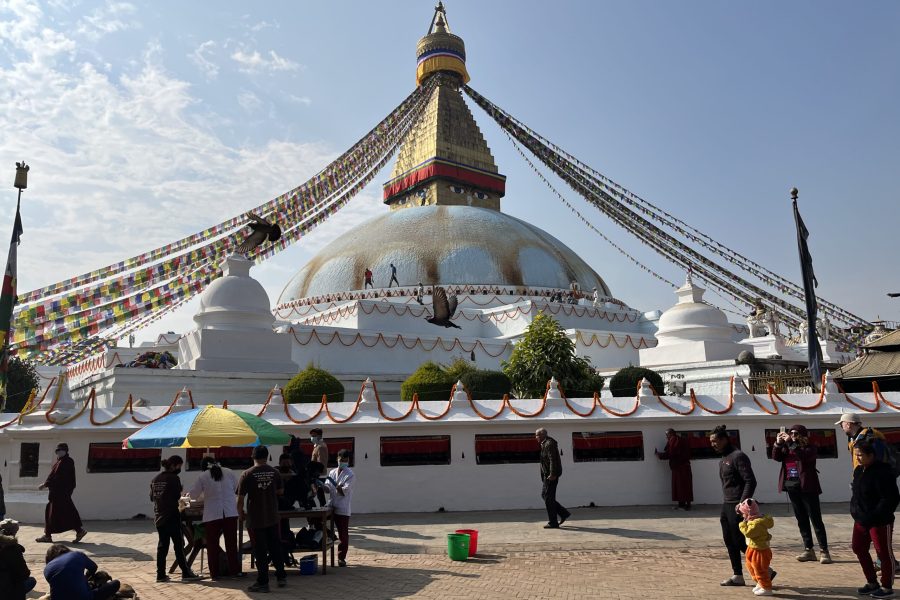 Pema Treks and Expedition Travel Company